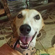 Peach adoptée en Savoie