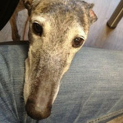 Quand est ce que je parle dans le micro? (Photo de VFM radio)