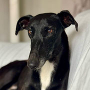 Nubia adoptée dans la Nièvre