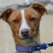 Loli adoptée dans le Jura