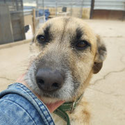 Nela adoptée dans les Yvelines