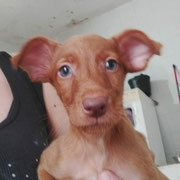 Charlotte adoptée dans le Doubs