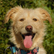 Hegel adopté dans les Bouches-du-Rhône