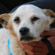 Tofu adopté dans le Lot