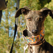 Dula adoptée dans le Loiret