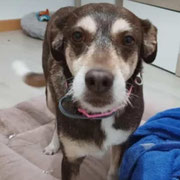 Neo adoptée dans le Territoire-de-Belfort