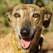 Asier adopté dans le Loiret