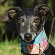 Naomi adoptée en Espagne