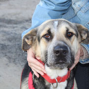 Calabaza adoptée en Espagne