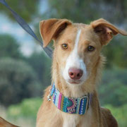 Nubla adoptée en Espagne