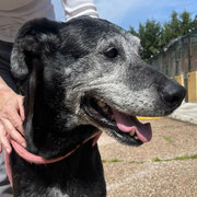 Jimena adoptée en Espagne