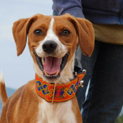 Tyon adopté en Espagne