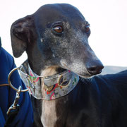 Lorena adoptée en Espagne