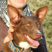 Jolie adoptée dans le Nord