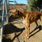 MARCO parrainé par JOSIANE