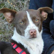 Alize adoptée en Isère