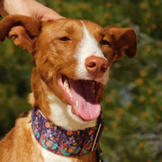 Turia adoptée dans l'Ain