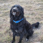 Trufa adoptée en Espagne