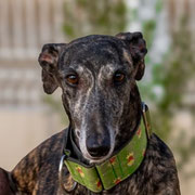 Kanae adoptée dans le Loiret