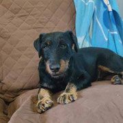 Parker adopté en Isère