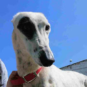 Hada adoptée dans le Nord