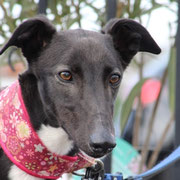 Valentina adoptée dans les Bouches-du-Rhône