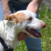 Lena adoptée en Suisse