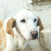 Titan adopté dans le Val-de-Marne