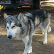 KAS fatigué... il reprend des forces dans sa super FA !