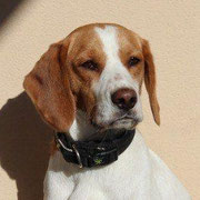 Eros adopté en Espagne