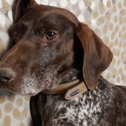 Tula adoptée dans les Bouches-du-Rhône