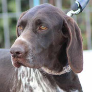 Enola adoptée dans les Landes