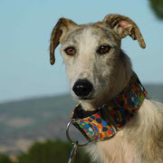 Astrid adoptée dans les Alpes-de-Haute-Provence