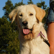 Henar adoptée en Savoie