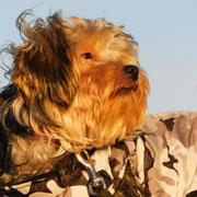 Tubbie adoptée dans les Bouches-du-Rhône