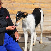 ... mais n'a jamais perdu espoir en l'homme!