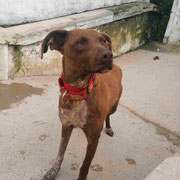 Martina adoptée en Espagne