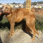 Dalila à la pension!