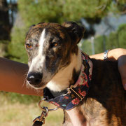 Ladera adoptée dans le Loiret