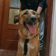 Chula adoptée en Vendée