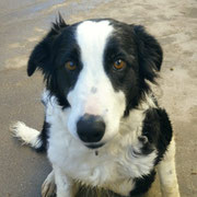 Era adoptée dans l'Aube