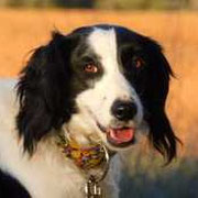 Era adoptée dans la Loire