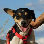 Amandine adoptée en Espagne