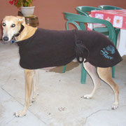 Flaco et son nouveau manteau!