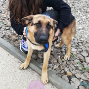 Lula adoptée dans le Lot