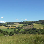 Le paysage côté montagne limousine : alternance entre parcelles agricoles, plantations de résineux et parcelles aux résineux coupés - Rempnat (vue depuis les jardins de Mas Maury)