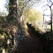 Chemin creux bordé de murets en pierre sèche - Quenouille (Peyrat-le-Château)