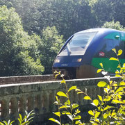 Le train fait partie du voyage ! Philippe vous racontera comment la ligne de chemin de fer fut créée et adapté au relief de petite montagne.