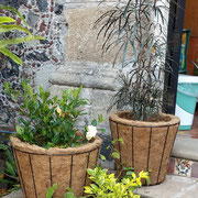 Maceton De Fibra De Coco Circular No.01