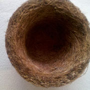 Maceta en fibra de coco.